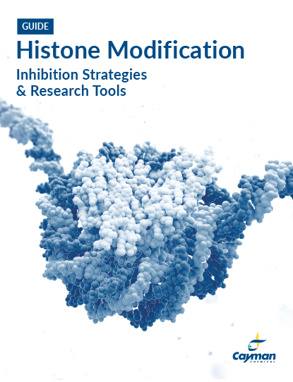 <p>​Histone Modification: Inhibition Strategies &amp; Research Tools<br></p>